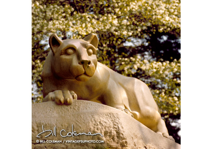 nittany lion statue in spring