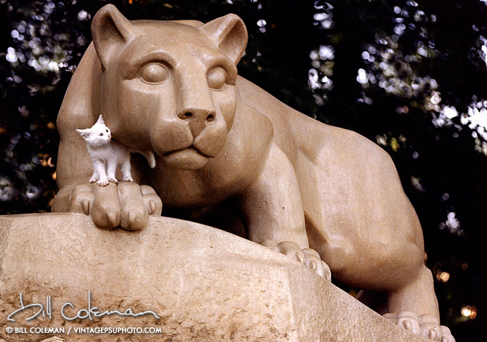 a kitten at the cheek of the nittany lion statue